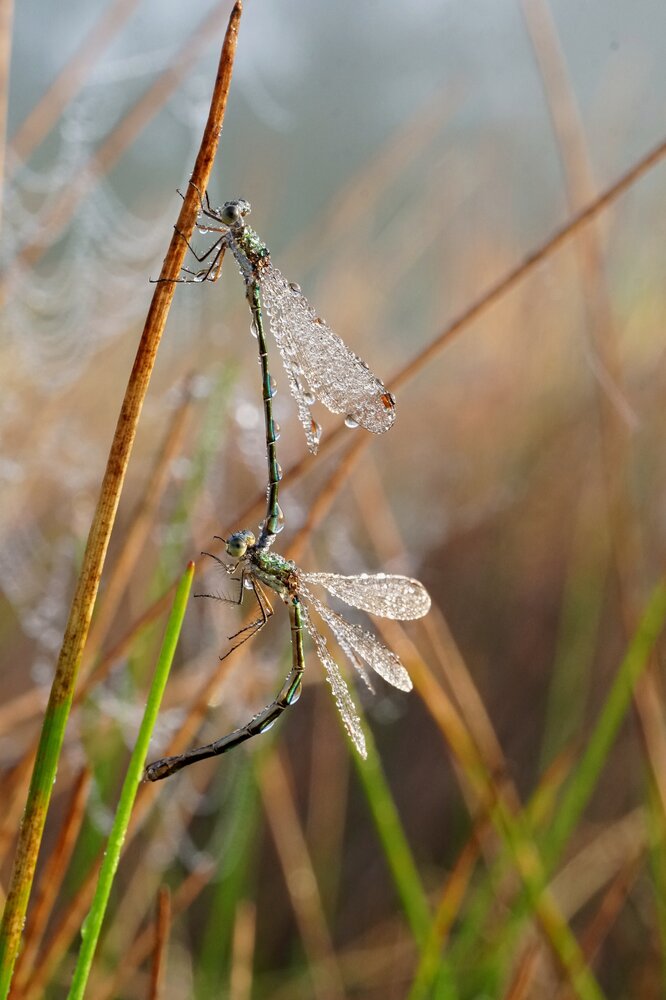 Photograph by Юрий Рейценштейн