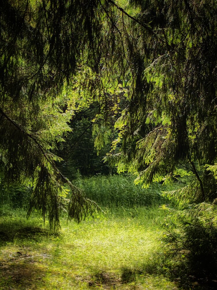 Photograph by Елена Артёменко