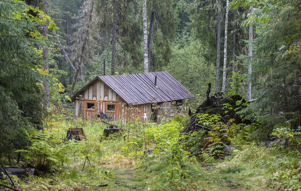 Photograph by Александр Широких