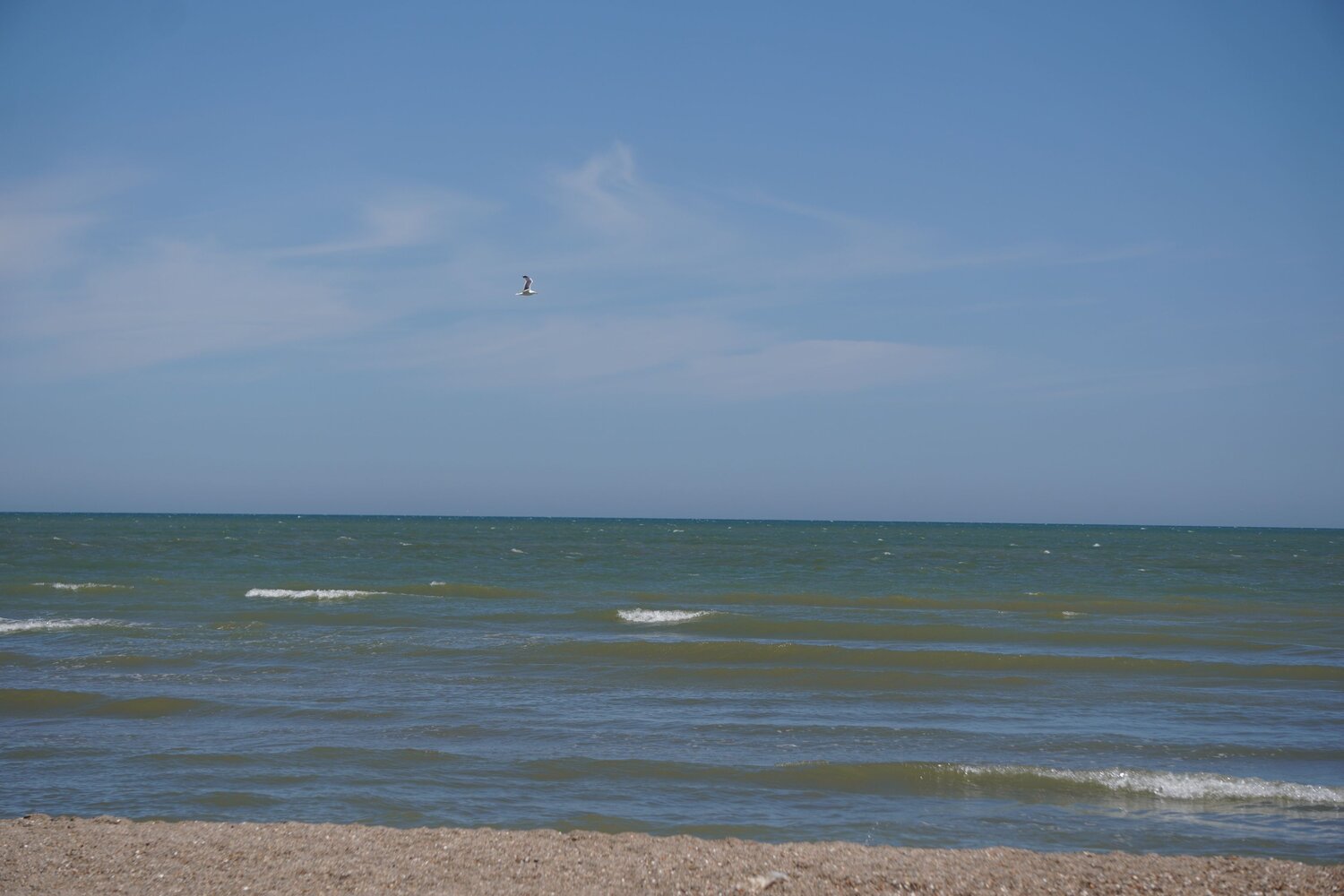 Photo #13900607
