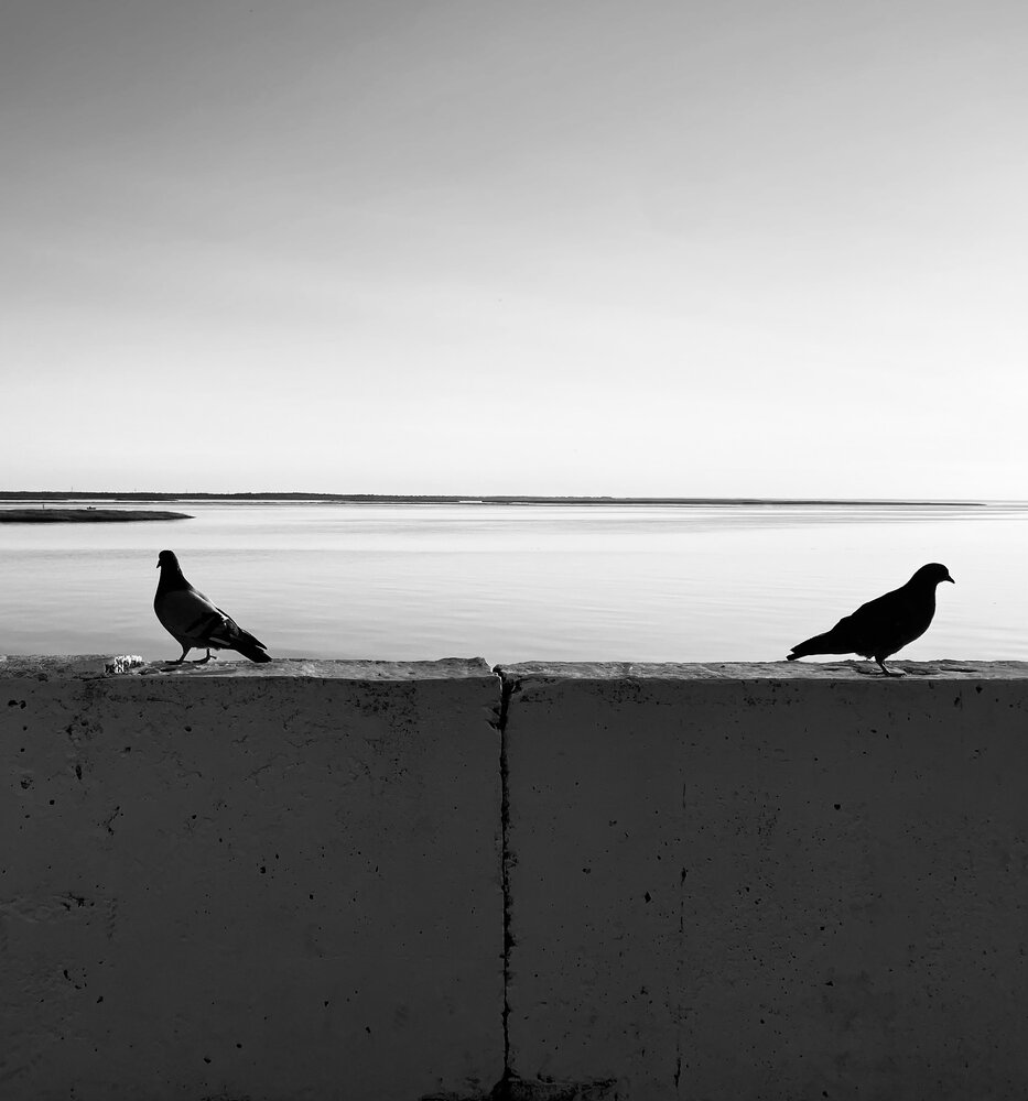 Photograph by Наталья Тарабычина