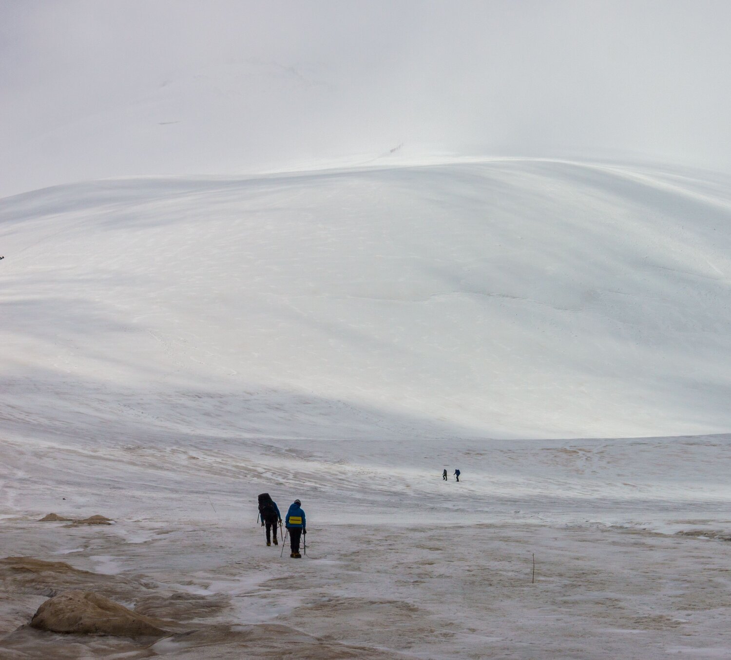 Photo #13900739