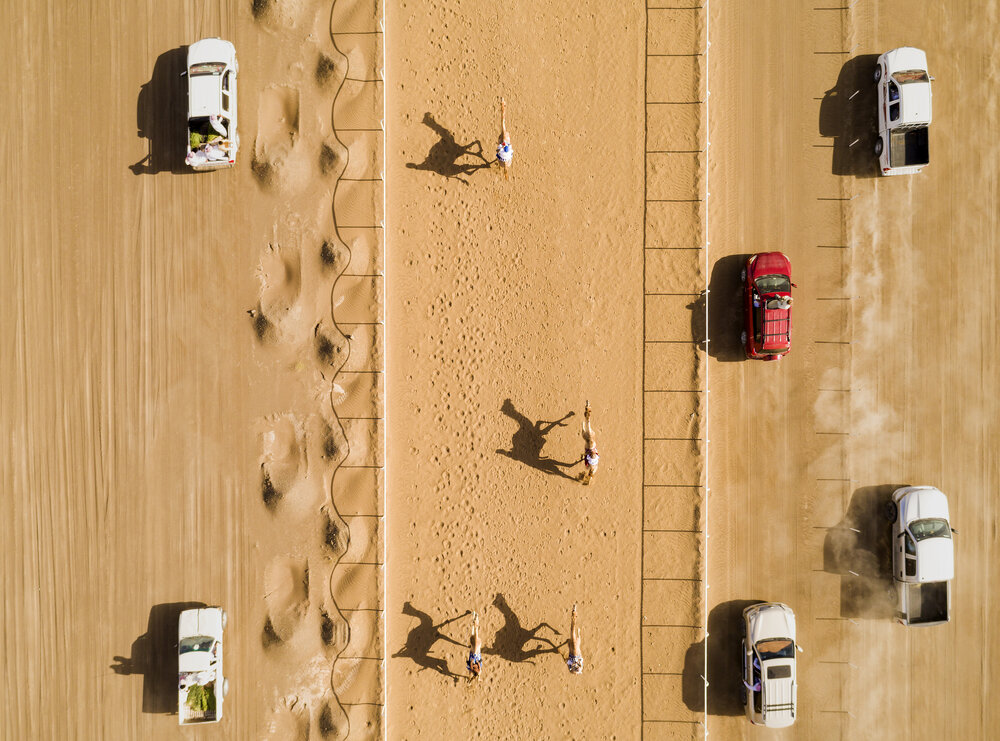 Camel Racing
