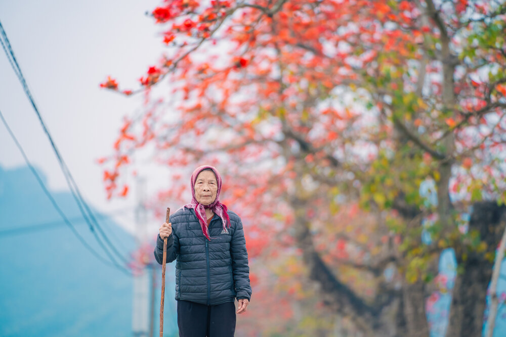 Photograph by nguyen truonghai