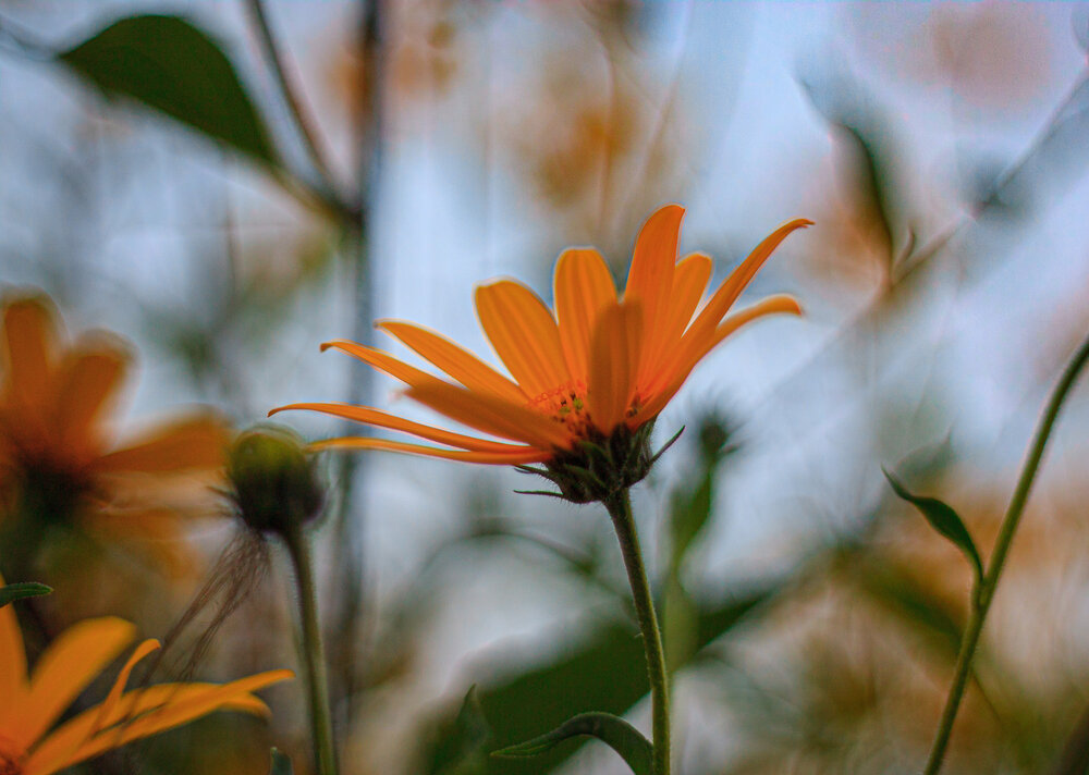 Photograph by Лофицкая Лариса
