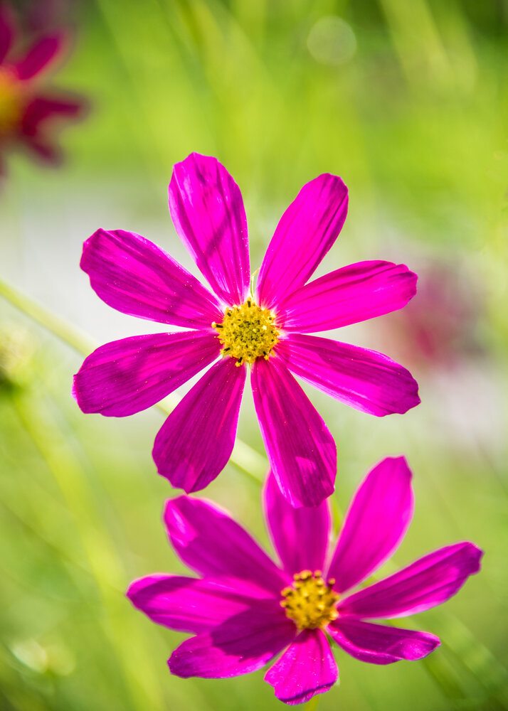 Photograph by Белевитин Михаил