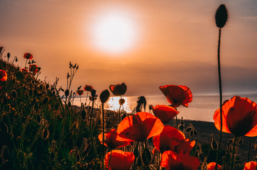 Photograph by Дмитрий Педченко