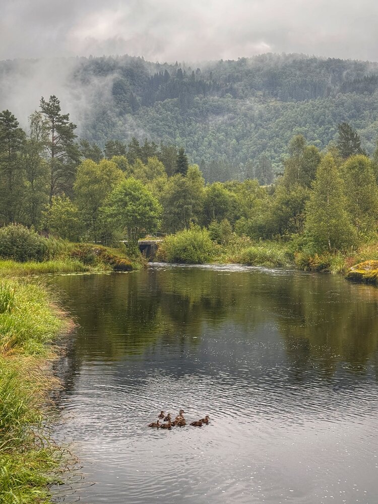 Photograph by Ольга Кудіна