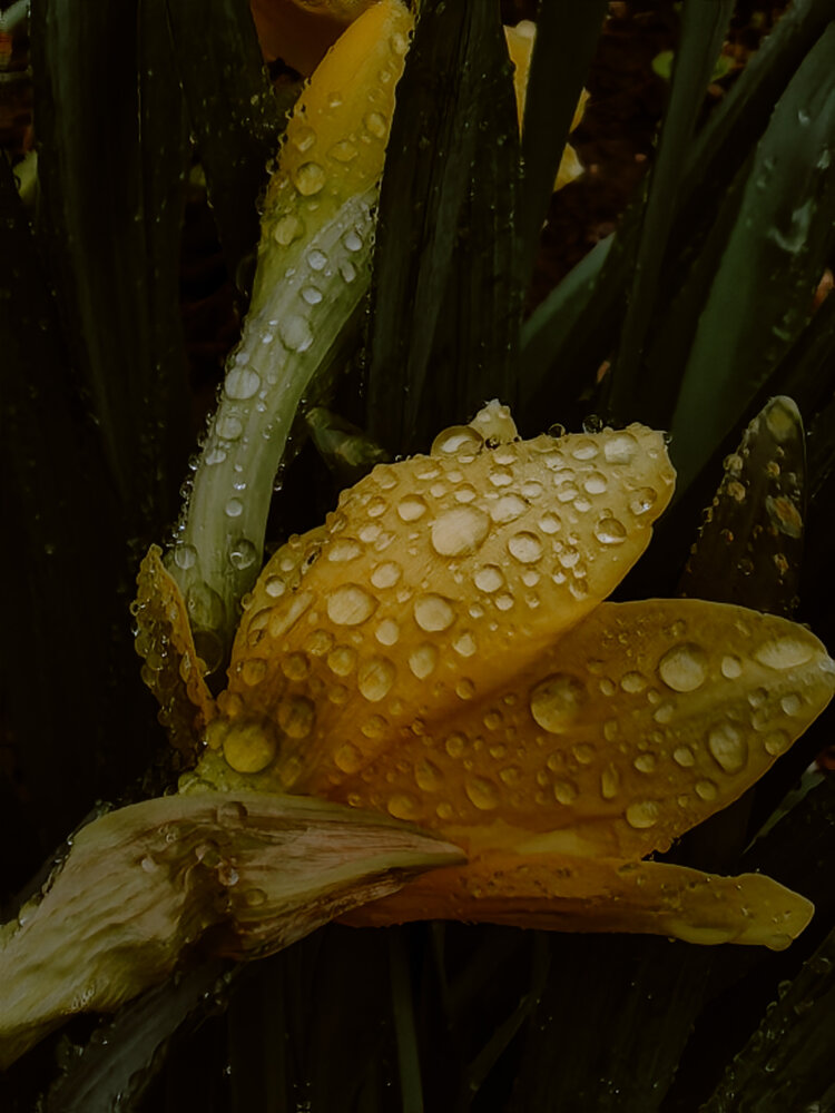 Photograph by Марина Александрюк