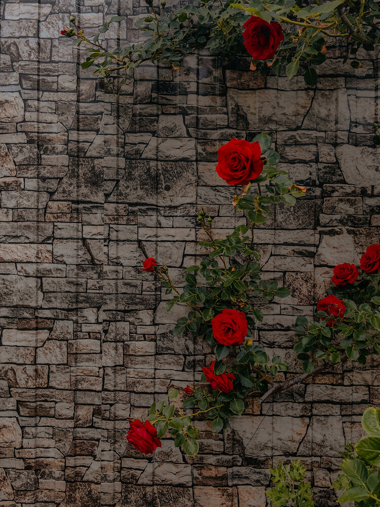 Photograph by Марина Александрюк