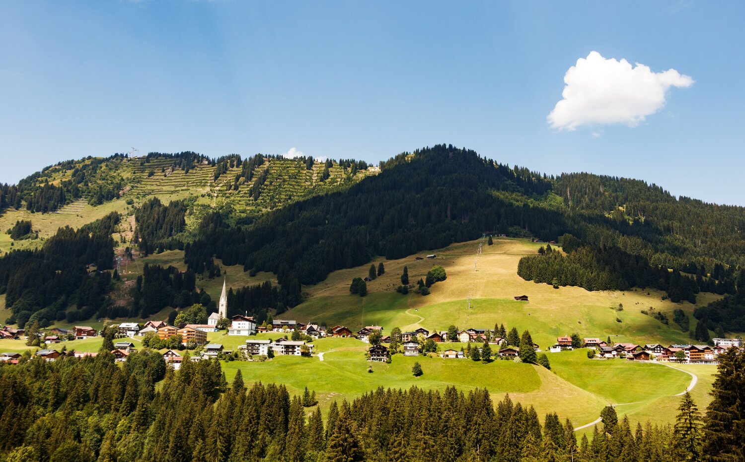 Photo #13900975
