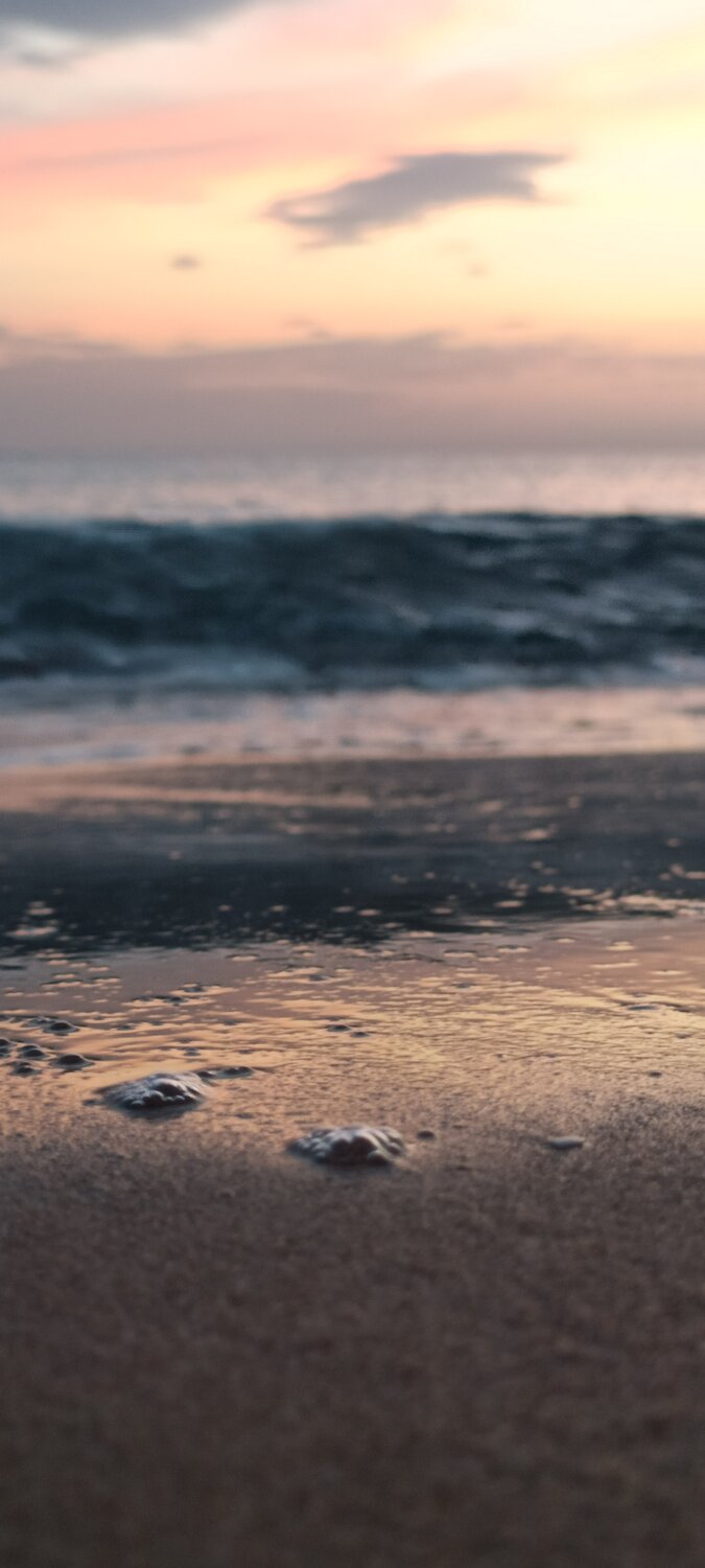 Photo #13900989