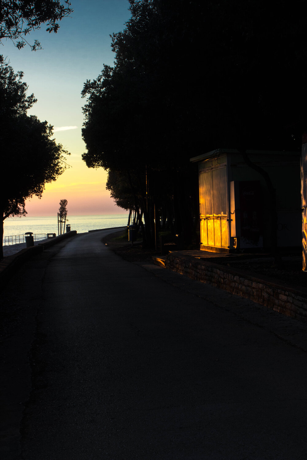 Photo #13901033