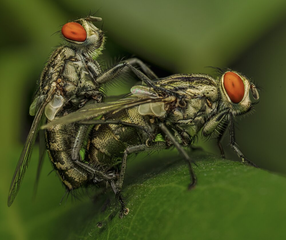 Photograph by Vipul Saxena
