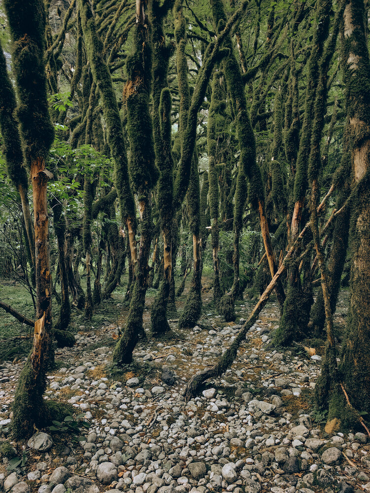Photograph by Татьяна Котова