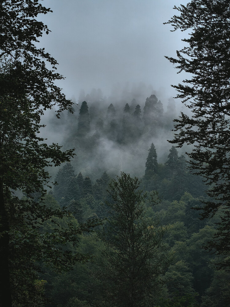Photograph by Татьяна Котова