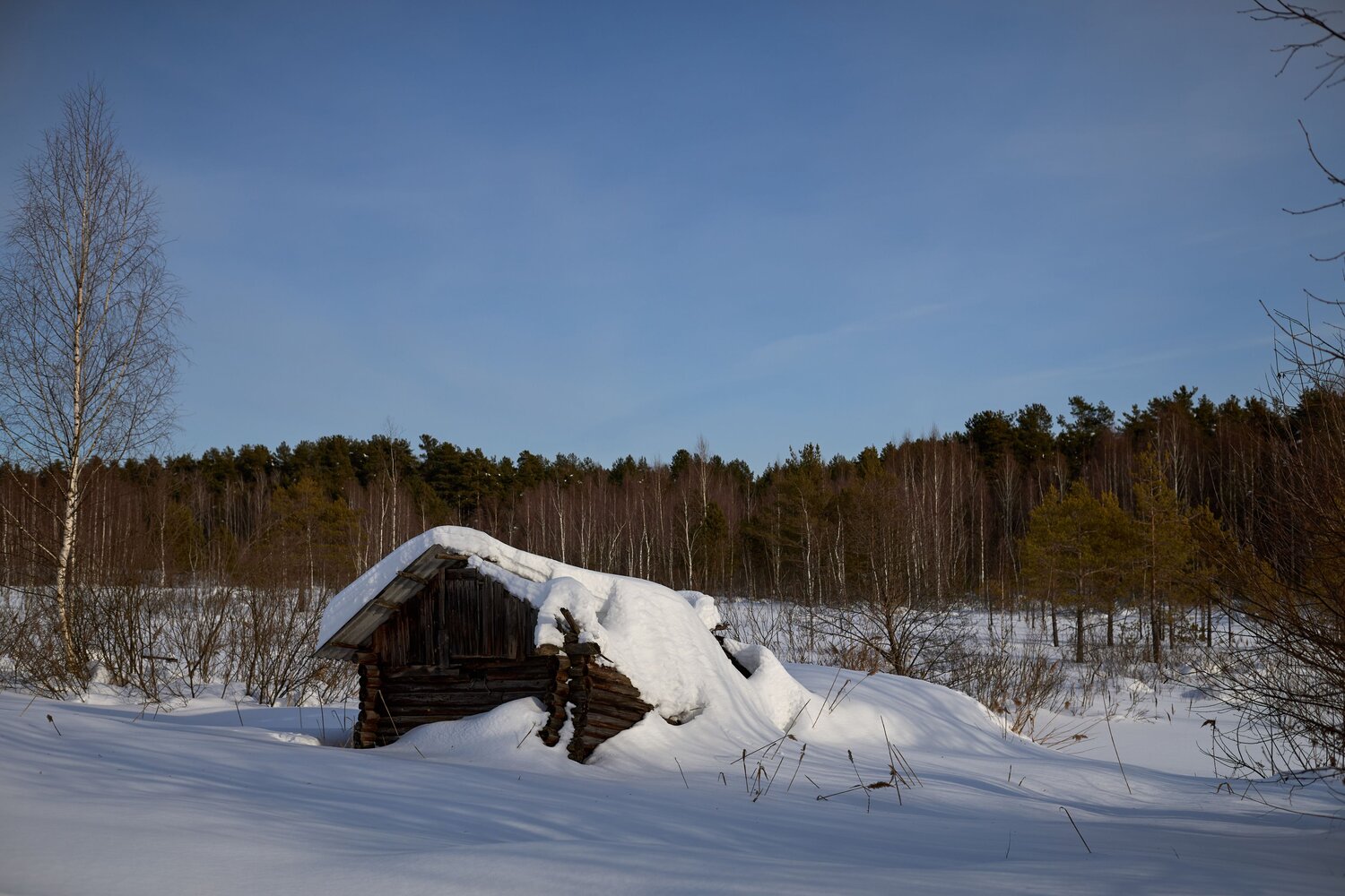 Photo #13901178