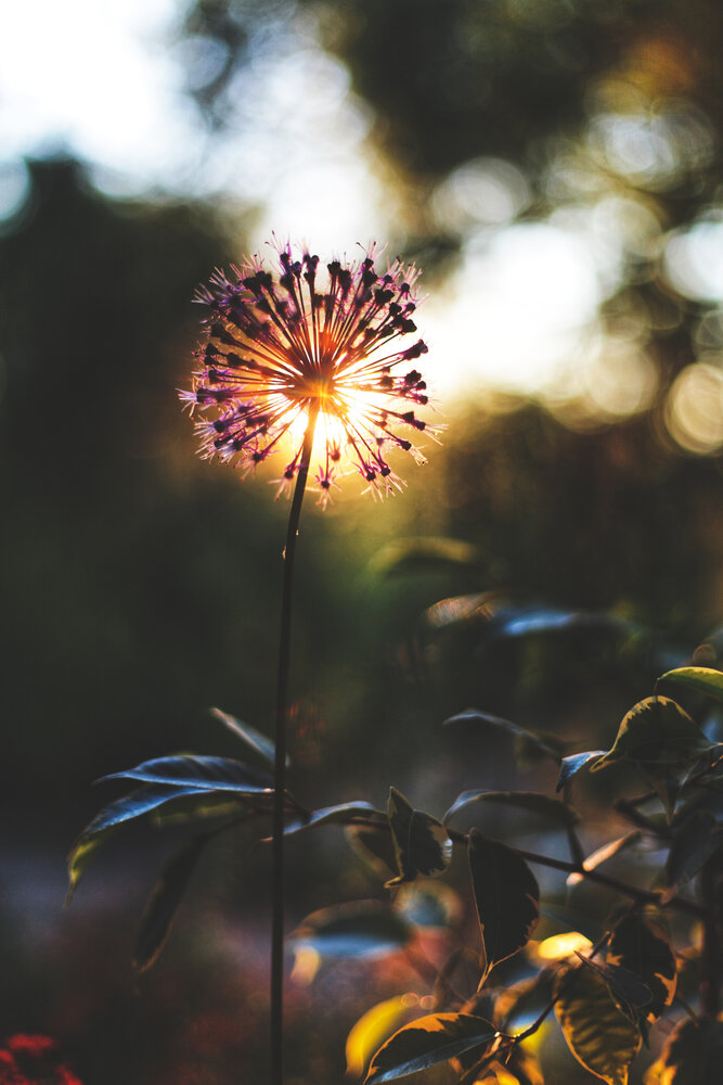 Photograph by Наталья Исаенко