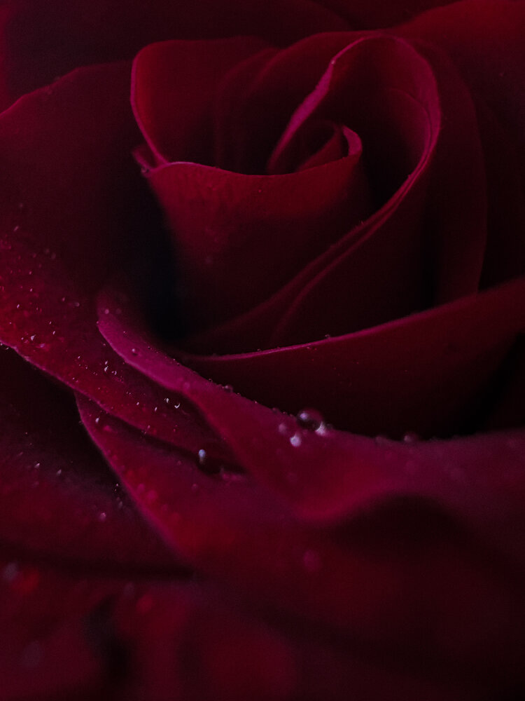 Photograph by Наталья Швед