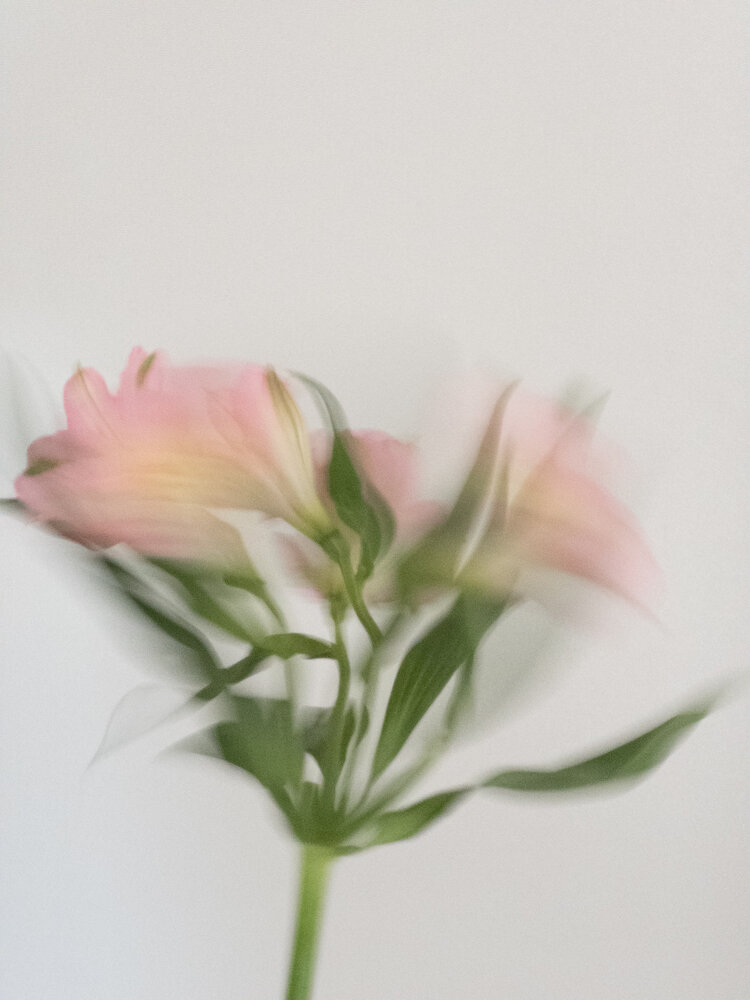 Photograph by Наталья Швед