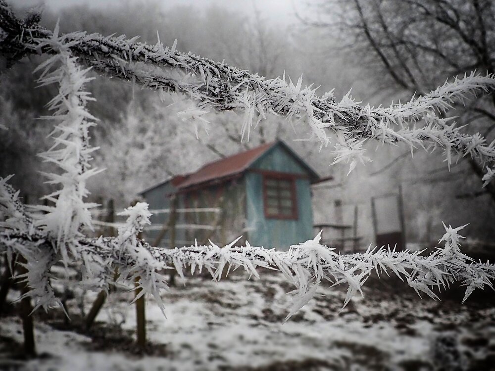 Photograph by Eperjessy Adrian