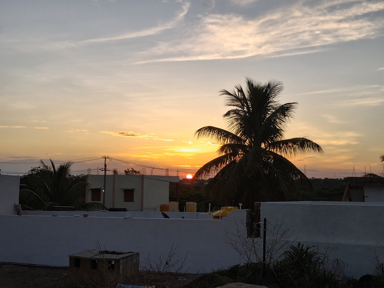 Photo #13901219