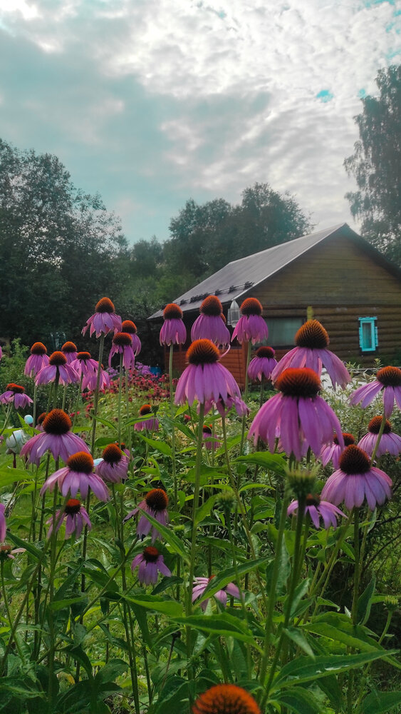 Photograph by Марина Гусева