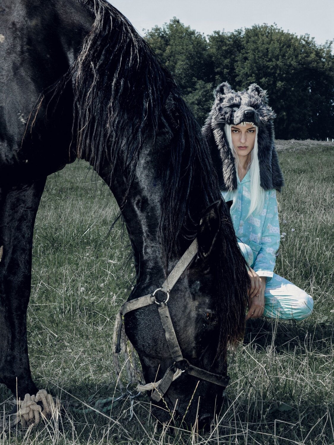 Photo #13901258