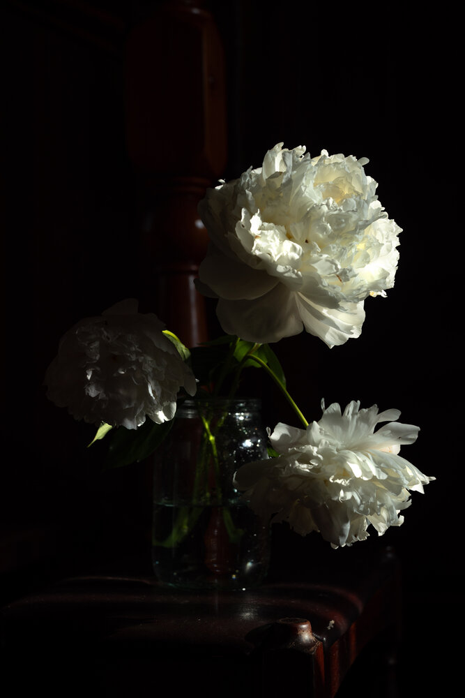 Photograph by Елена Осипова