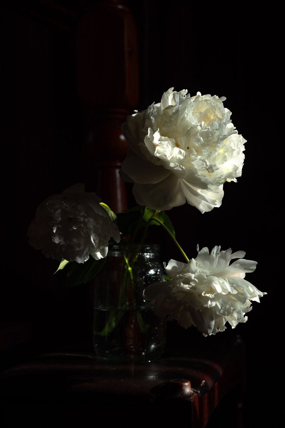 Photo #13901356