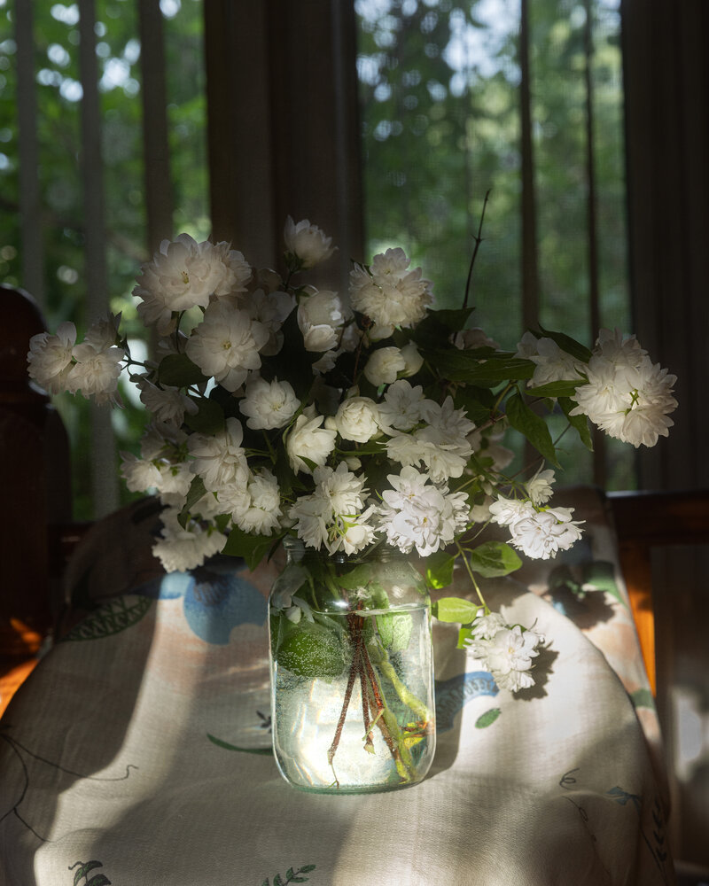 Photograph by Елена Осипова