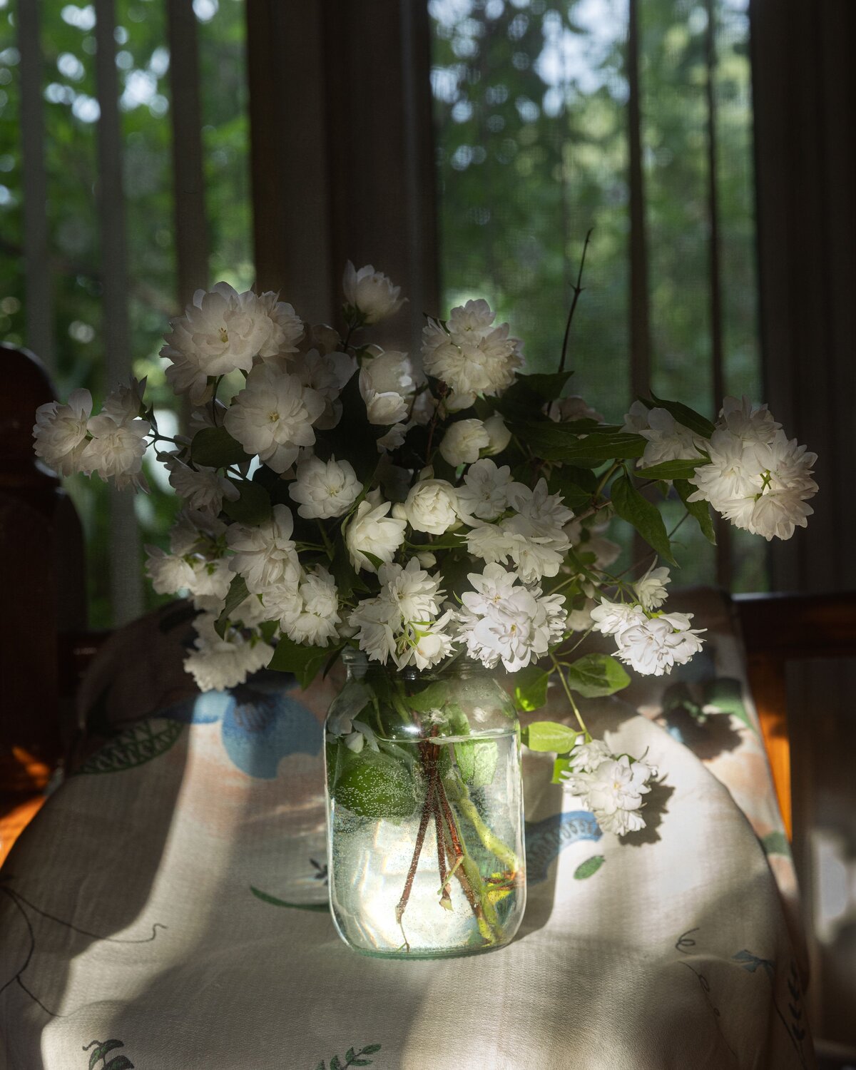 Photo #13901358