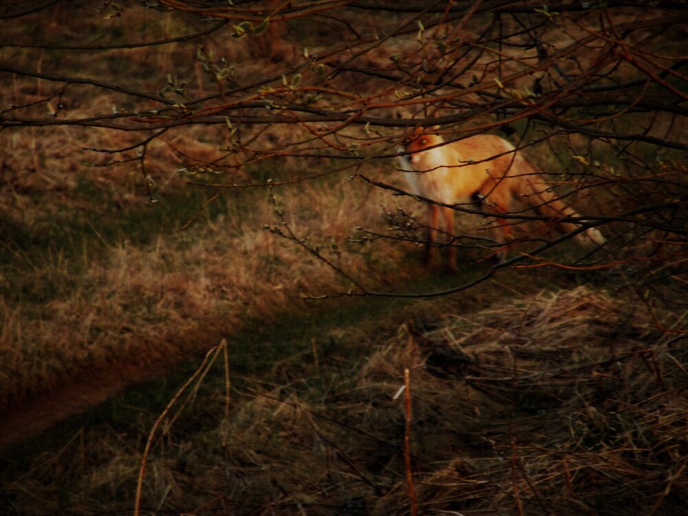 Photograph by Неля Кочурова