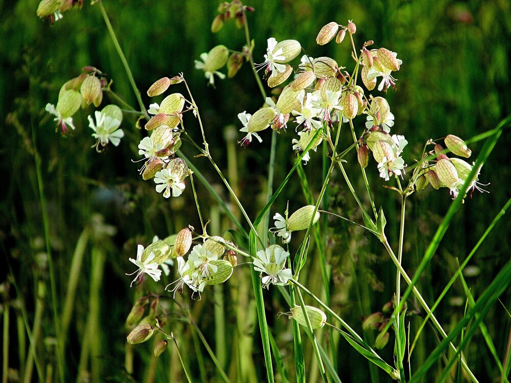 Photograph by Неля Кочурова