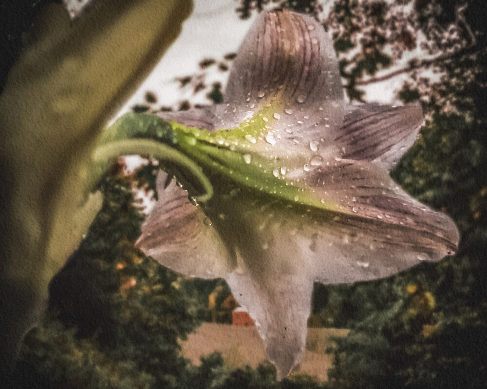 Photograph by Annalise Photographer