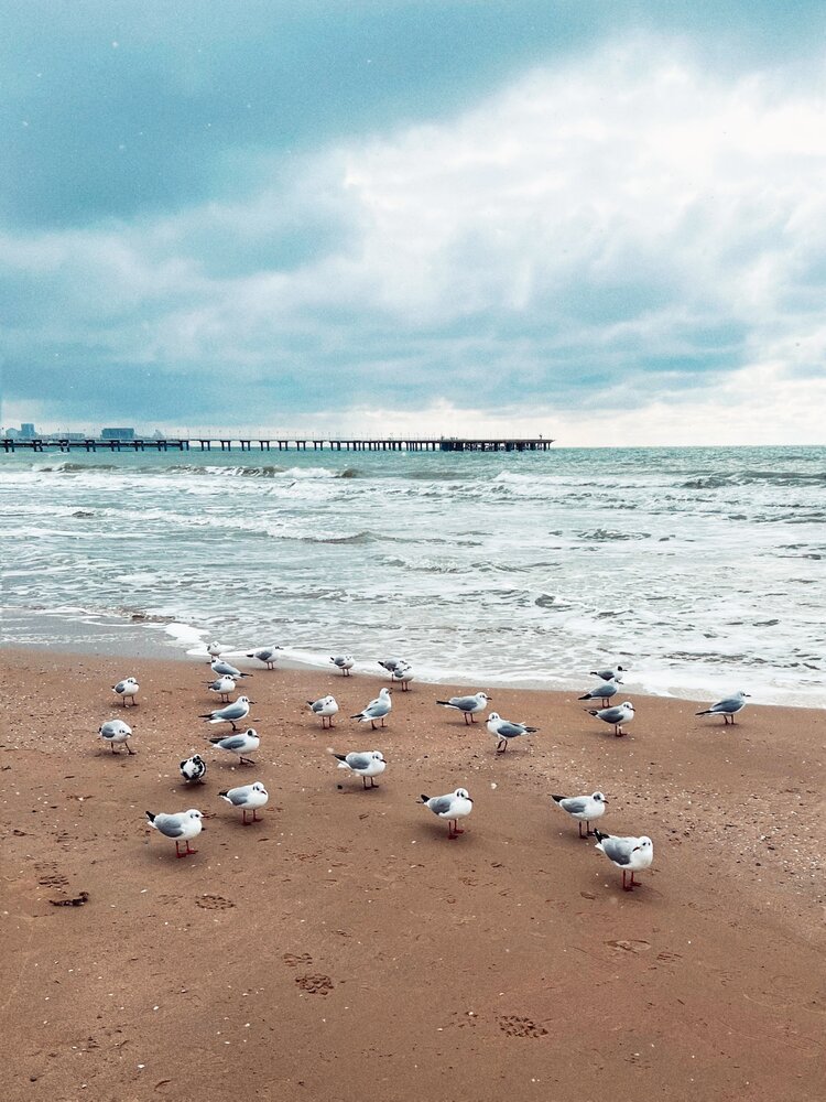 Фотография автора Яна Сел