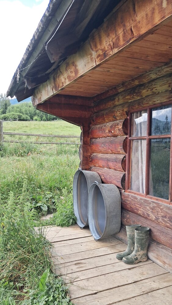 Photo #13901486