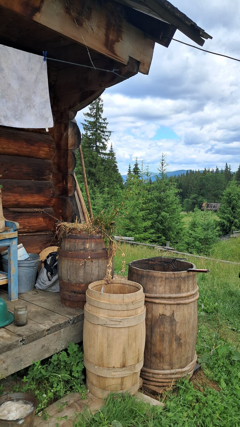 Photo #13901487