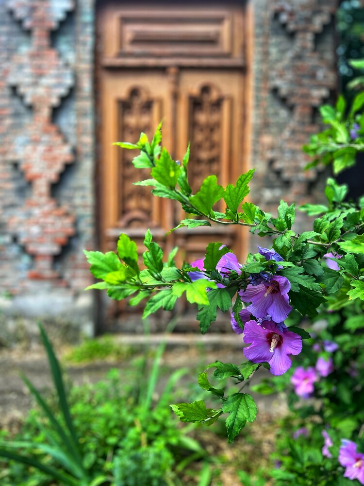 Photograph by Яна Сел
