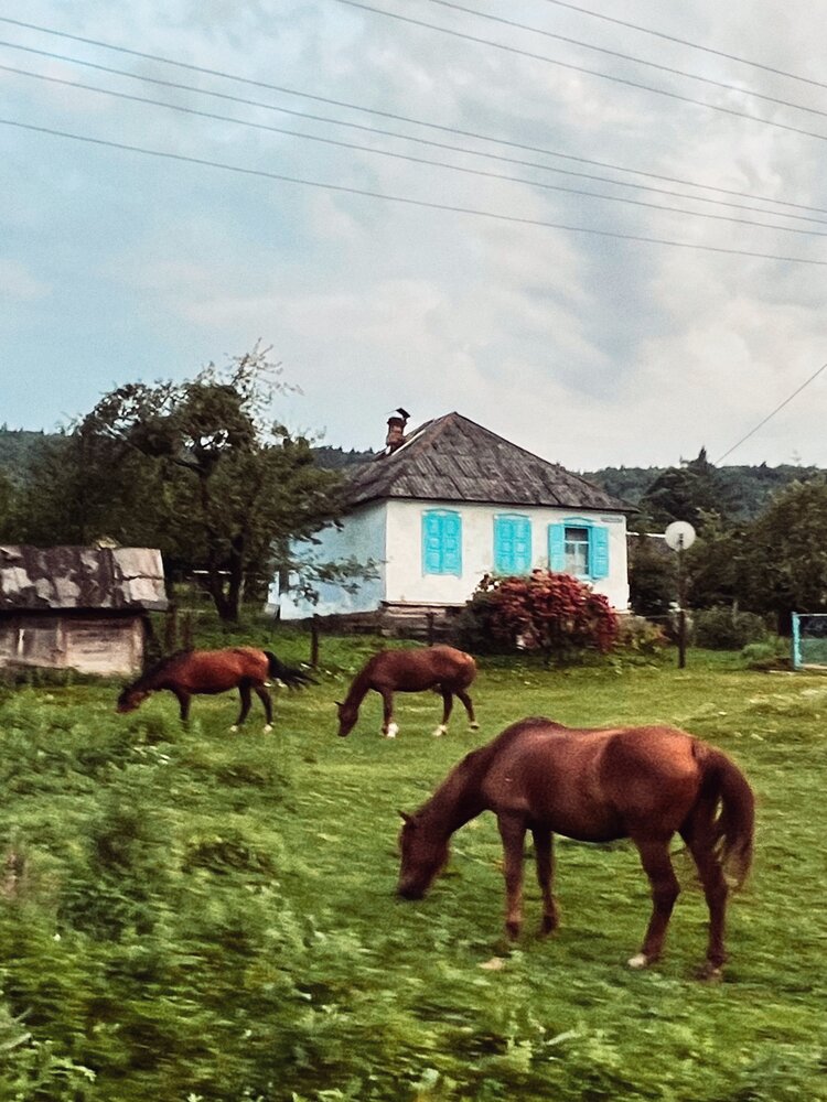 Photograph by Яна Сел