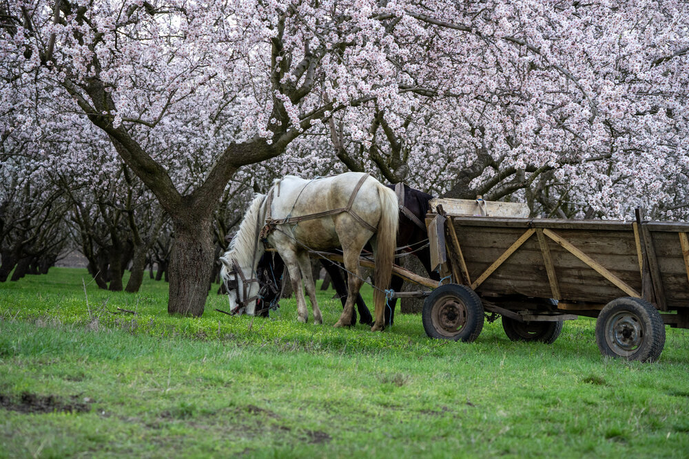 Фотография автора Ирина Зайцева