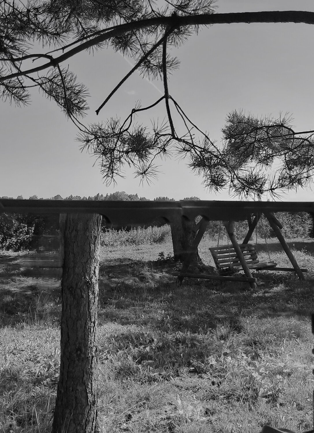 Photo #13901545