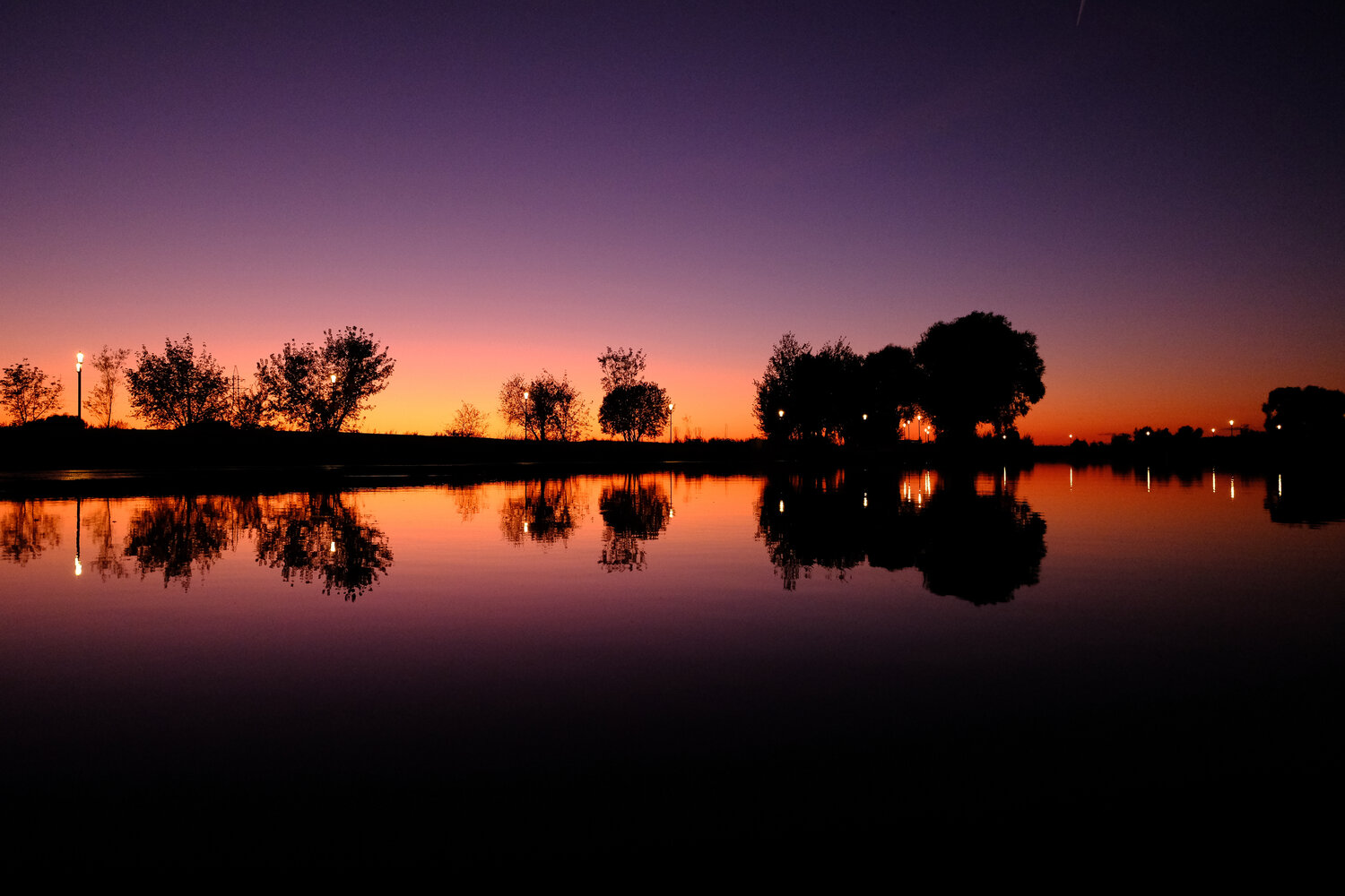 Photo #13901583