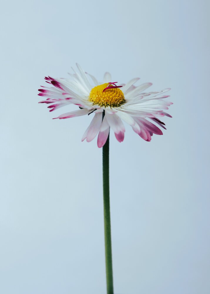 Photograph by Ольга Никулина
