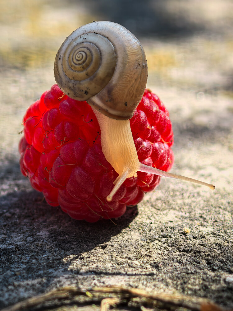 Photograph by Елена Шляхова