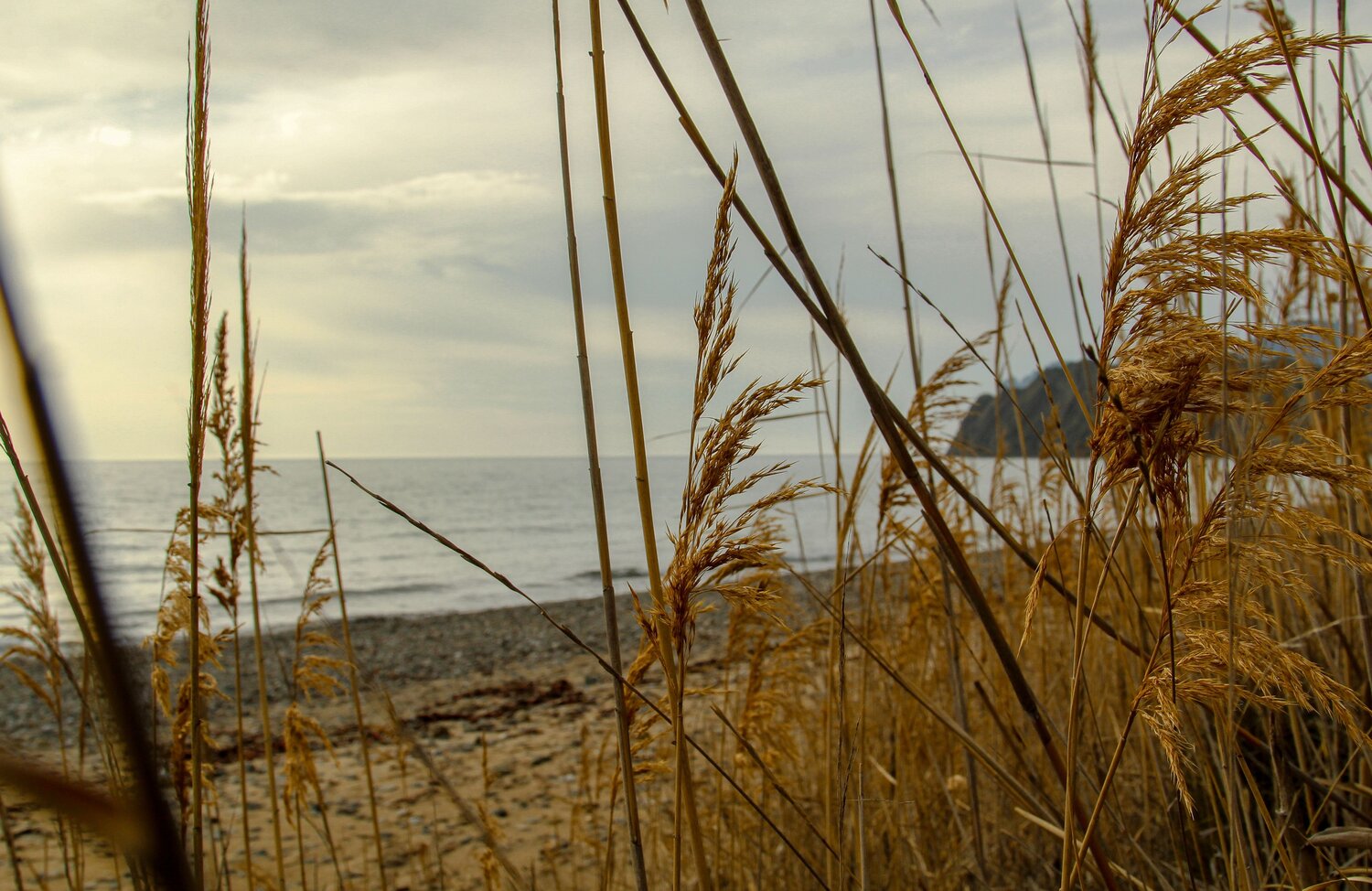 Photo #13901672