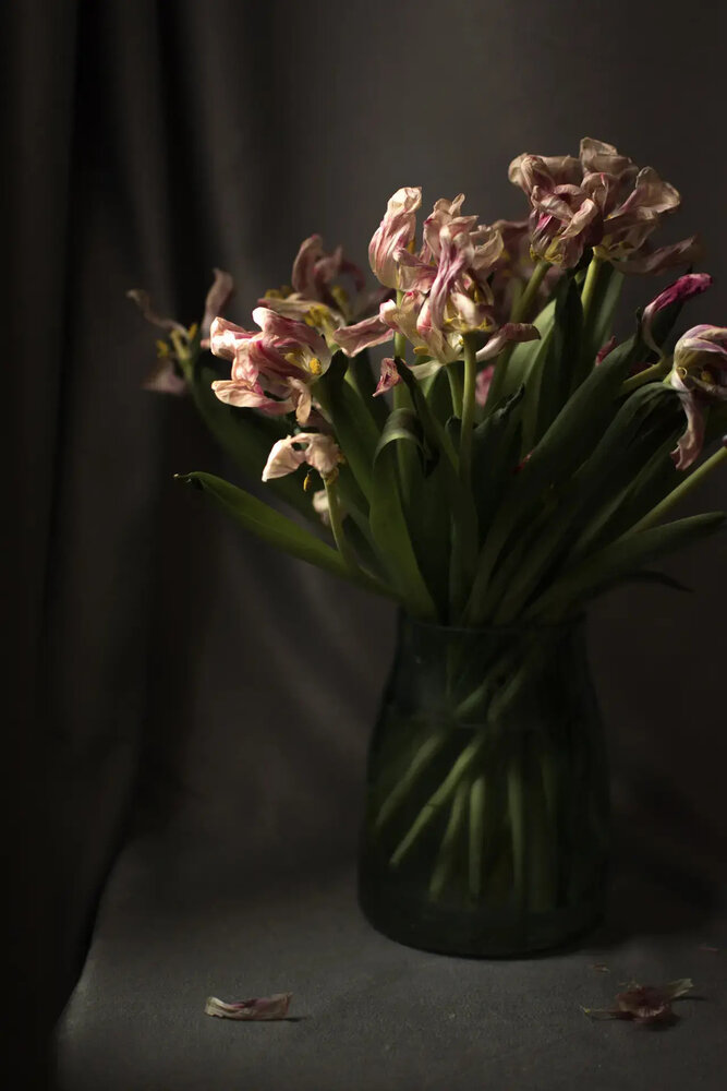 Photograph by Ольга Коткова