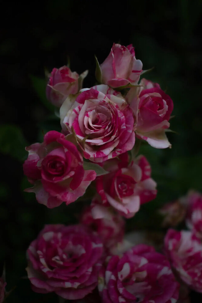 Photograph by Ольга Коткова
