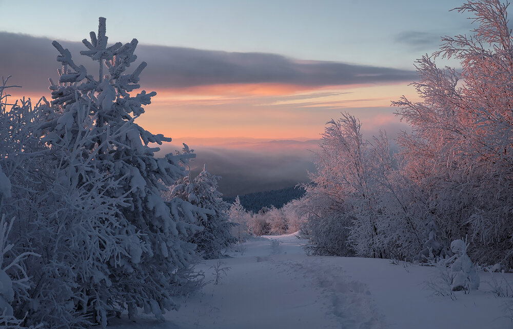 Photograph by Госпадарёв Александр