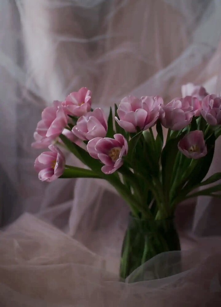 Photograph by Ольга Коткова